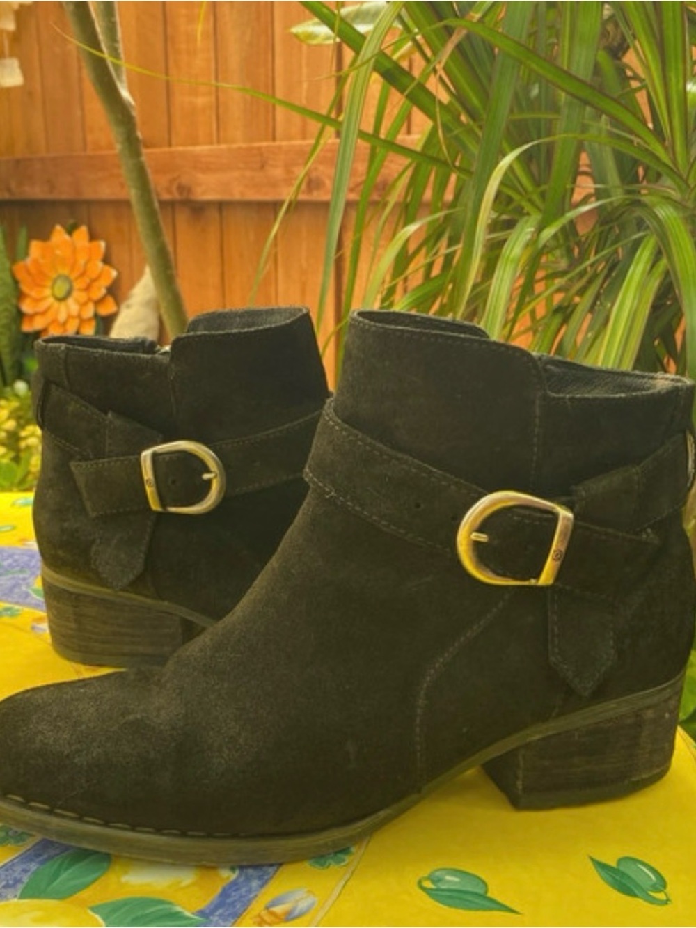 BORN Black suede ankle boots! Size 9.5